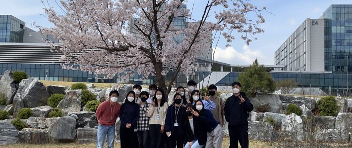 Under the cherry blossoms, on a balmy spring day